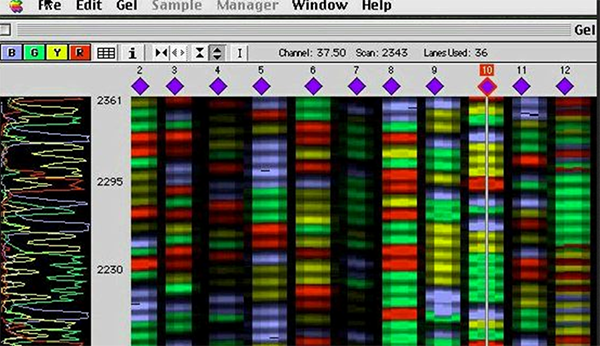 Cycle sequencing 