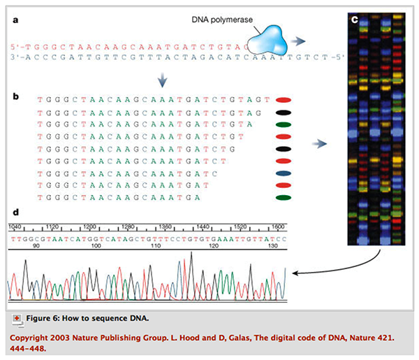 Sequencing summary